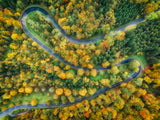 autumn road Poster och Canvastavla