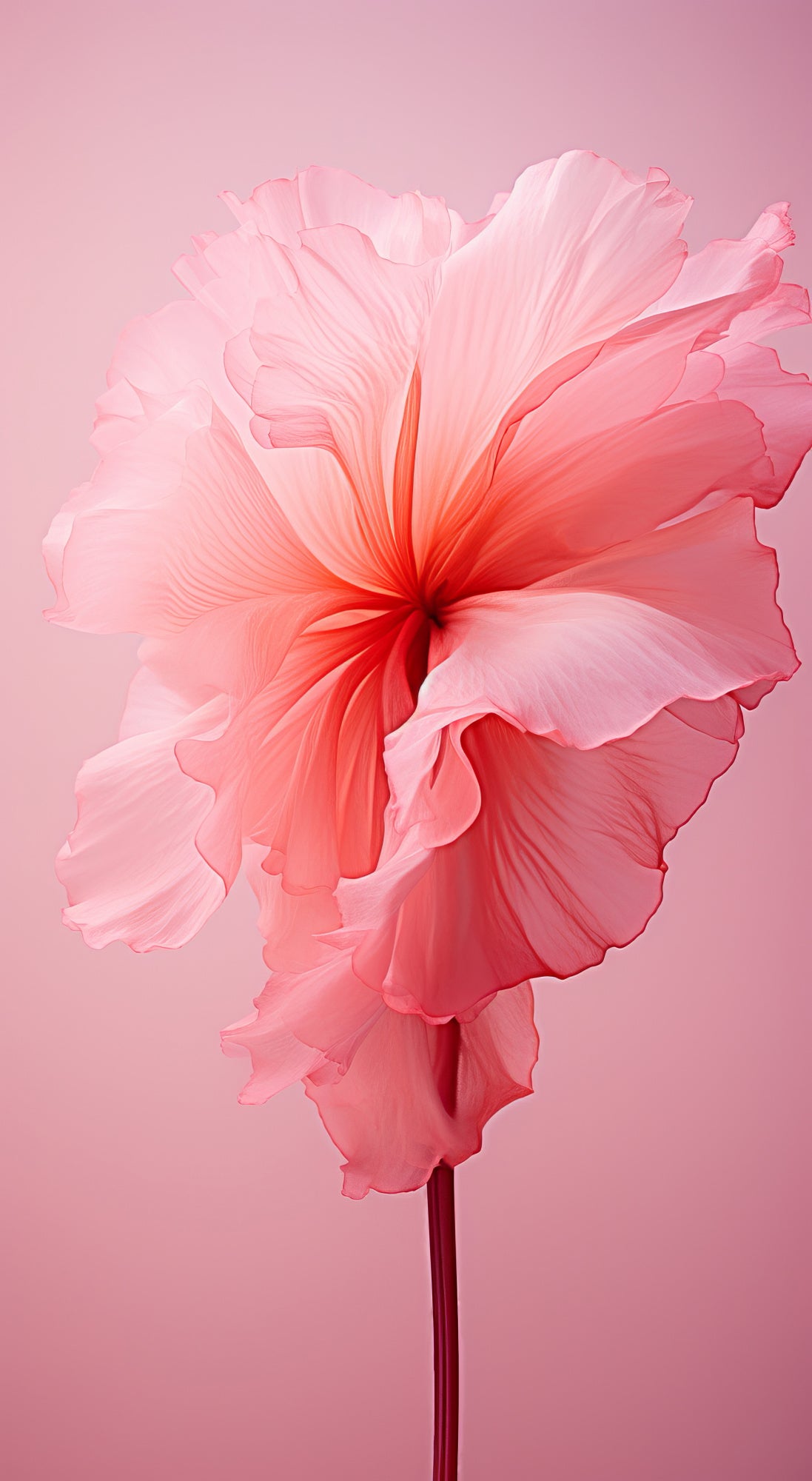 Delicate Flowers 8 Poster och Canvastavla