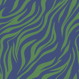 Green Blue Zebra 15 Poster och Canvastavla