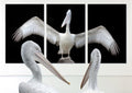 Wow, what you say: what a reach....! Poster och Canvastavla