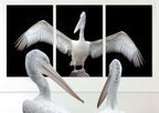Wow, what you say: what a reach....! Poster och Canvastavla