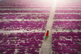 power to open the way in the future. Poster och Canvastavla