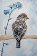 Perked and Perched Poster och Canvastavla