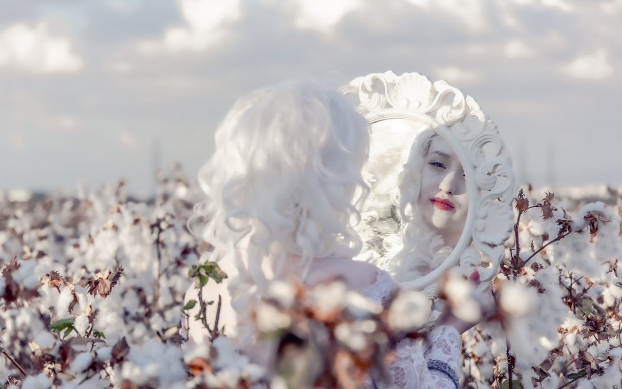 Snow white Poster och Canvastavla