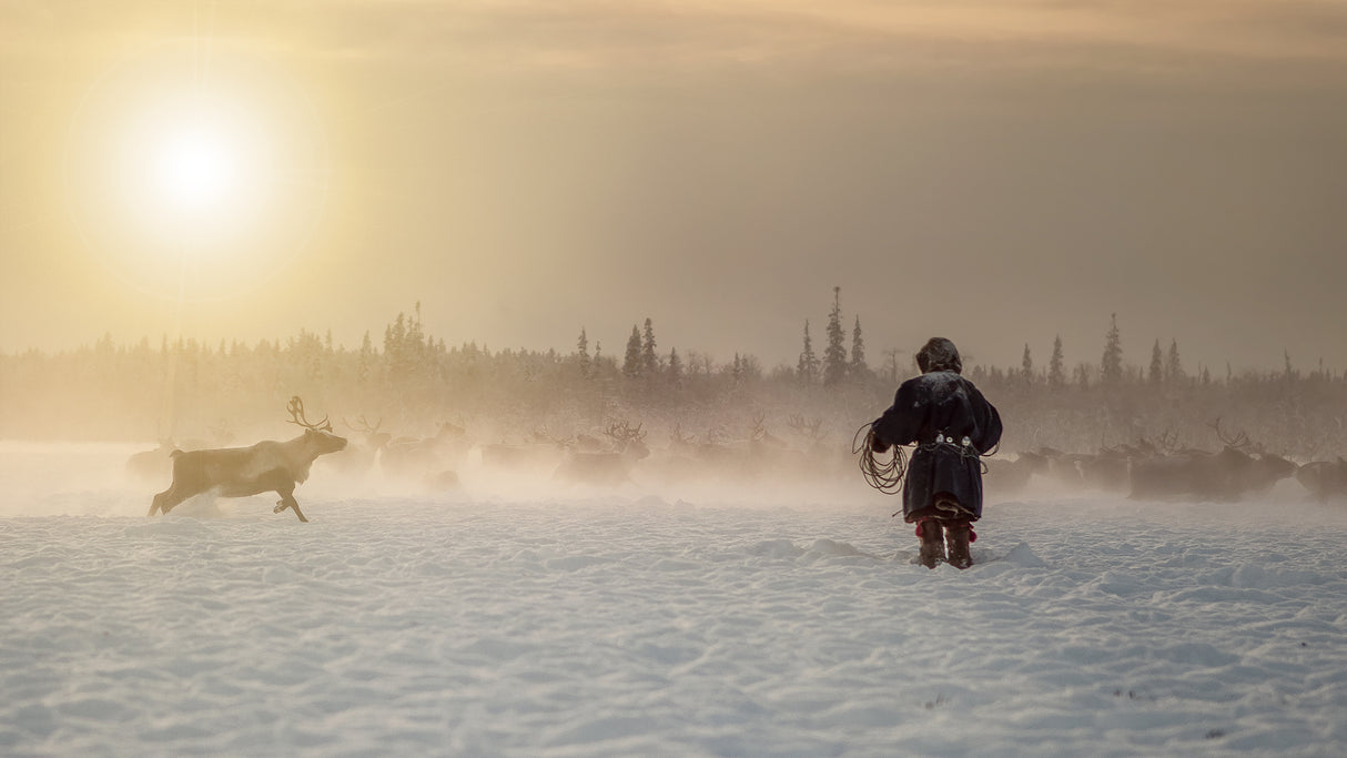 Reindeer hunter Poster och Canvastavla