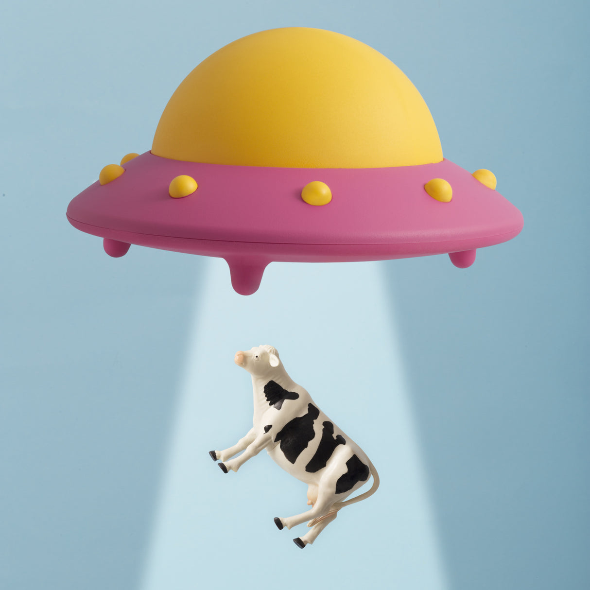 Abducted Cow Poster och Canvastavla