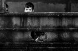 The kids window BW Poster och Canvastavla