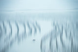Go to sea Poster och Canvastavla