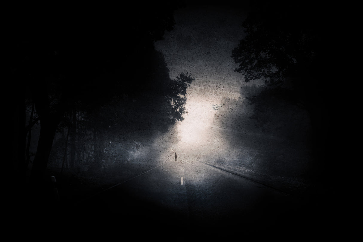 An Unknown Mortal In The Dark Poster och Canvastavla