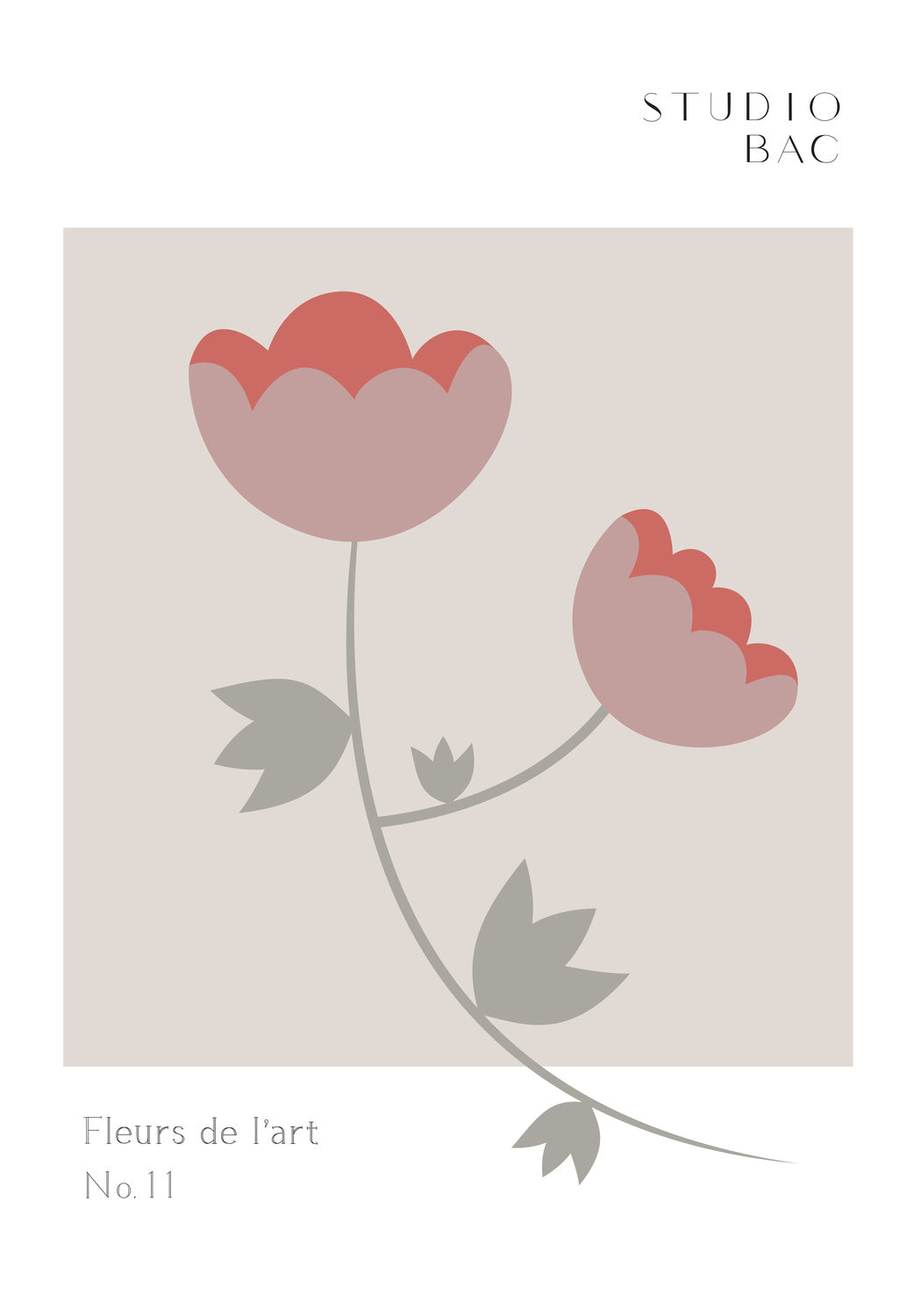 Roses Studio Bac Poster och Canvastavla