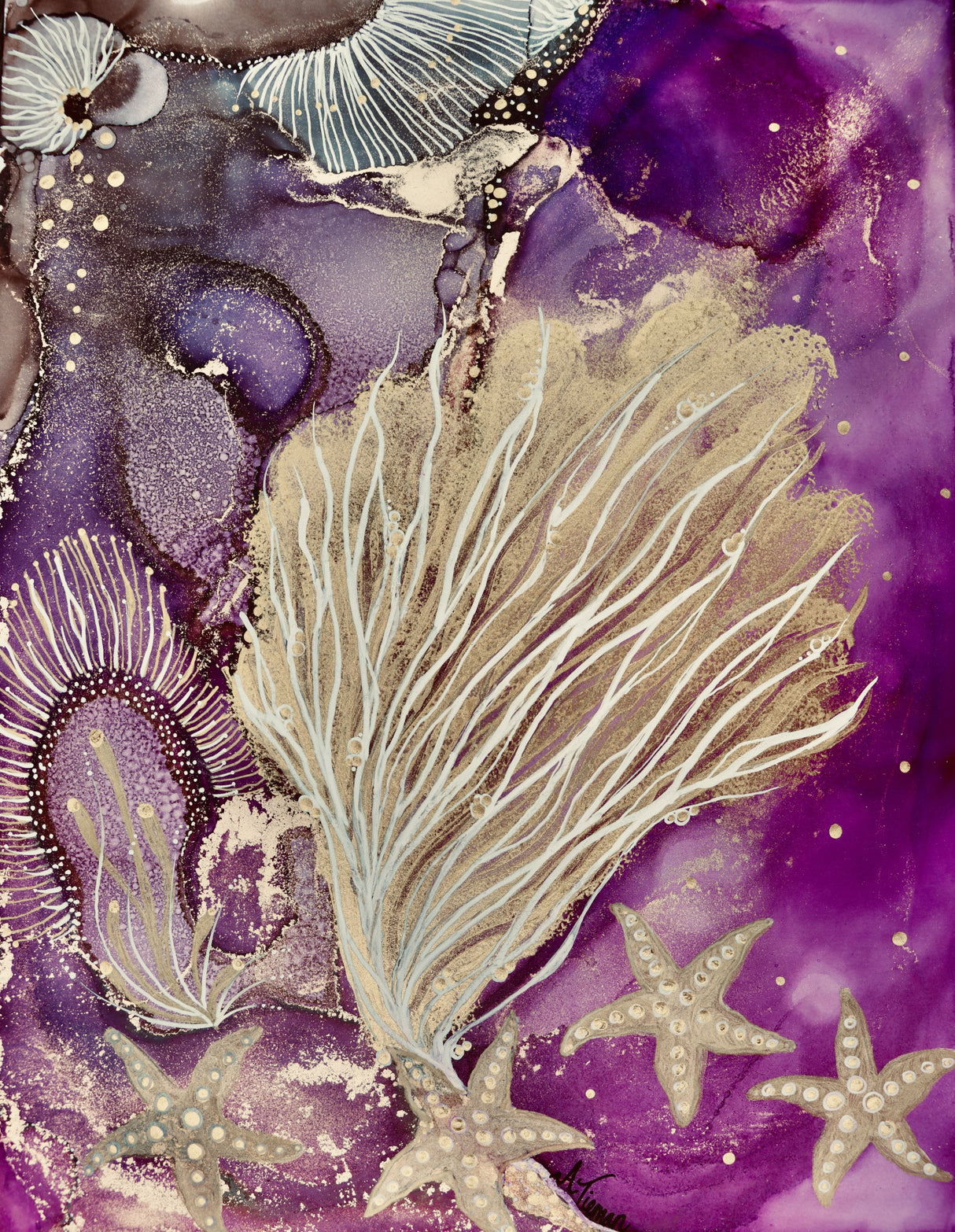 Blushing Reef Poster och Canvastavla