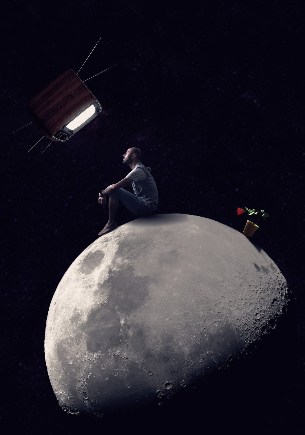 loneliness Poster och Canvastavla