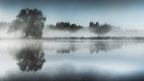 Foggy day Poster och Canvastavla