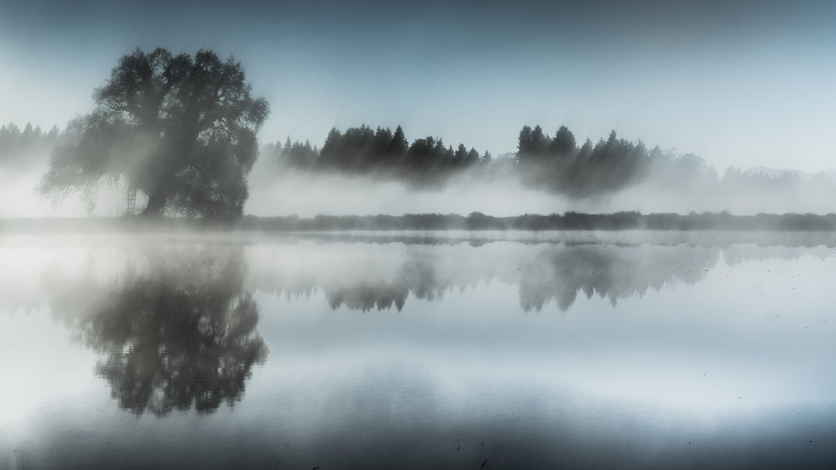 Foggy day Poster och Canvastavla