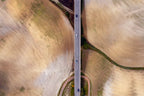 Highway in Tuscany Poster och Canvastavla