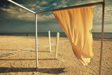 In The Morning Light Poster och Canvastavla