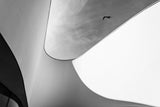 Curves Poster och Canvastavla