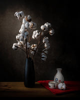 Cotton flowers Poster och Canvastavla