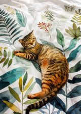 Cat's life 2 Poster och Canvastavla
