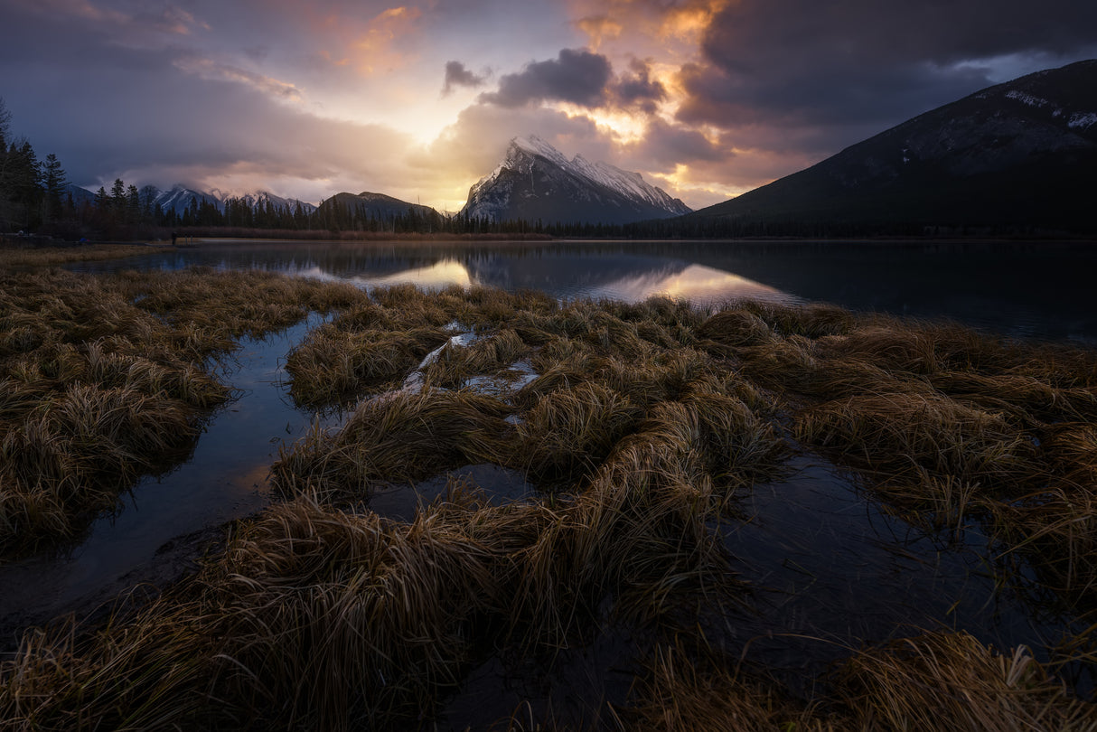 Vermilion Lakes, Canada Poster och Canvastavla