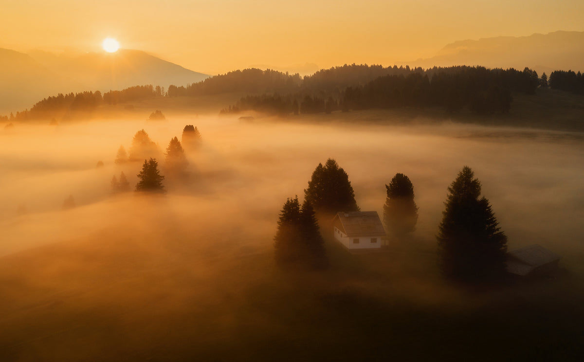 Morning mist Poster och Canvastavla