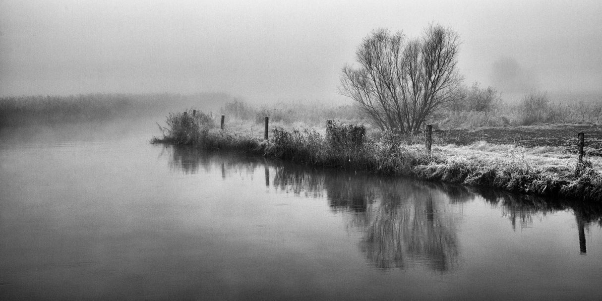 Foggy River Poster och Canvastavla