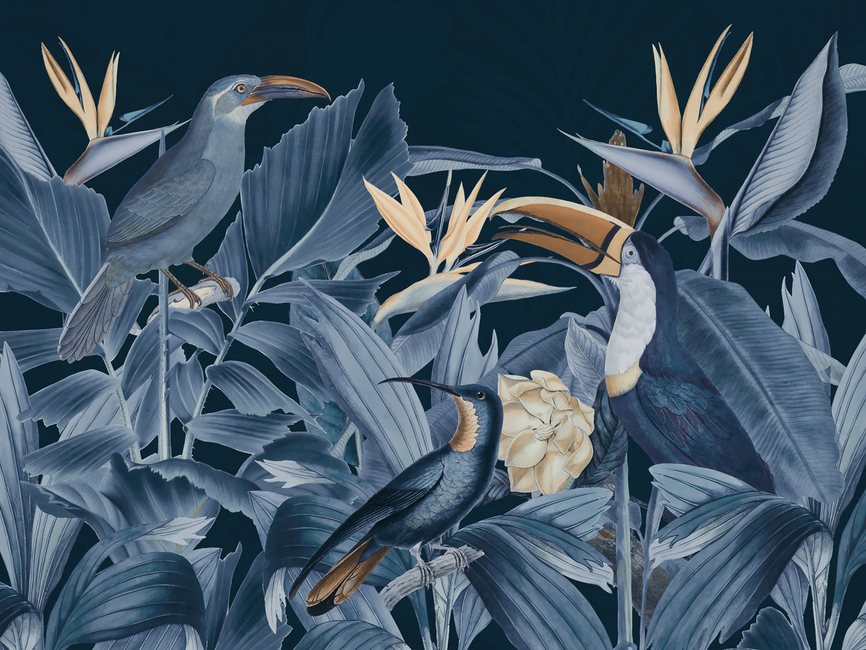 Rainforest Birds Blue Poster och Canvastavla