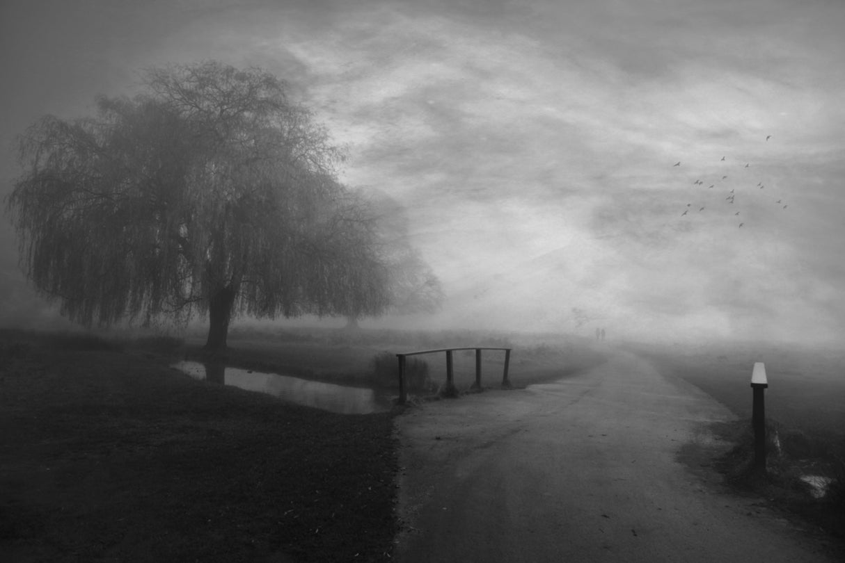 Some Moody Mornings... Poster och Canvastavla
