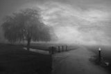 Some Moody Mornings... Poster och Canvastavla