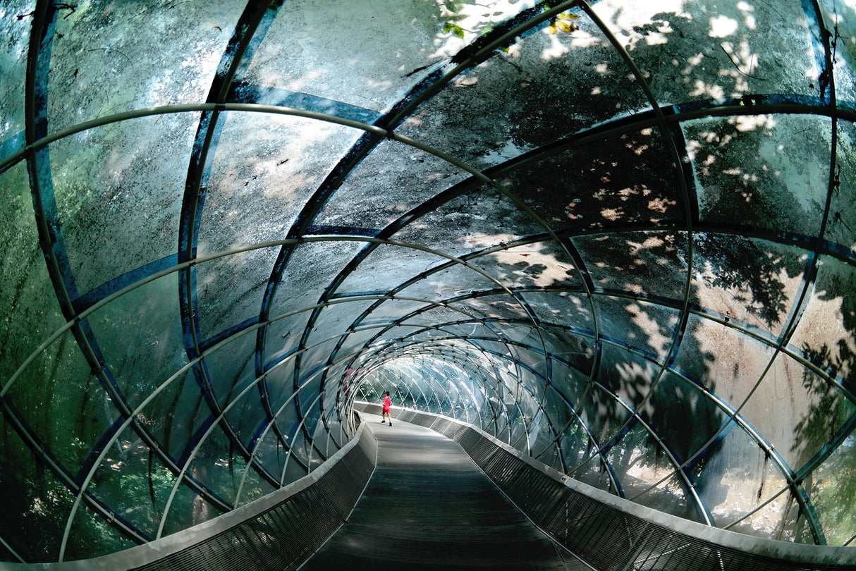 Through the arc Poster och Canvastavla