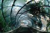 Through the arc Poster och Canvastavla