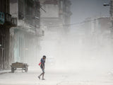 dust in havana Poster och Canvastavla