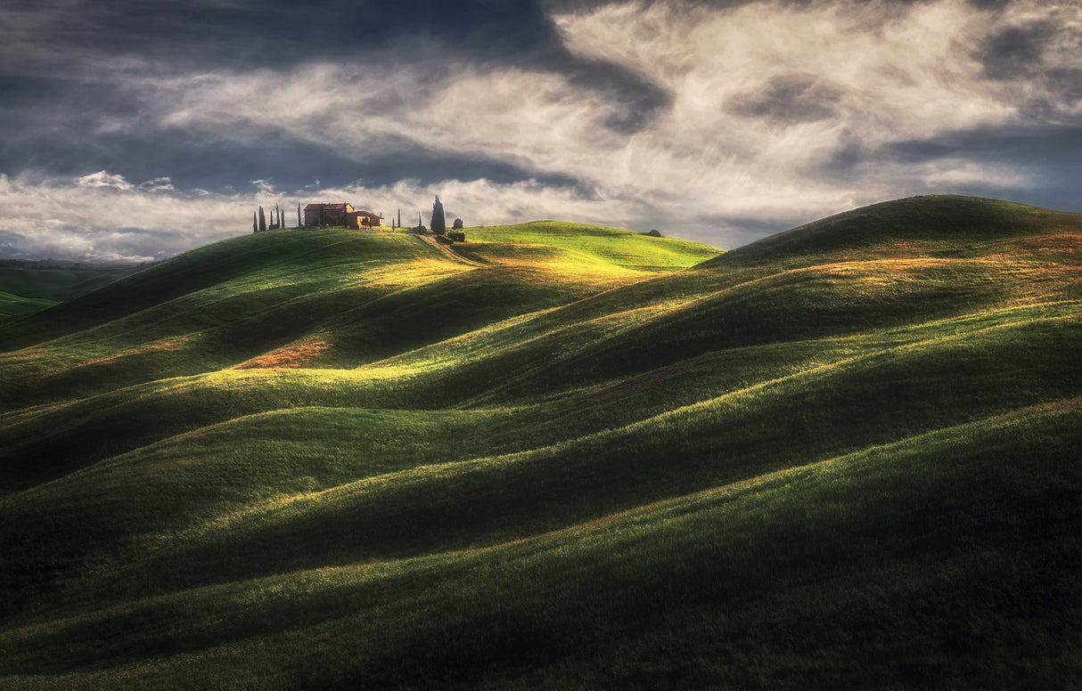 Tuscany Sweet Hills. Poster och Canvastavla