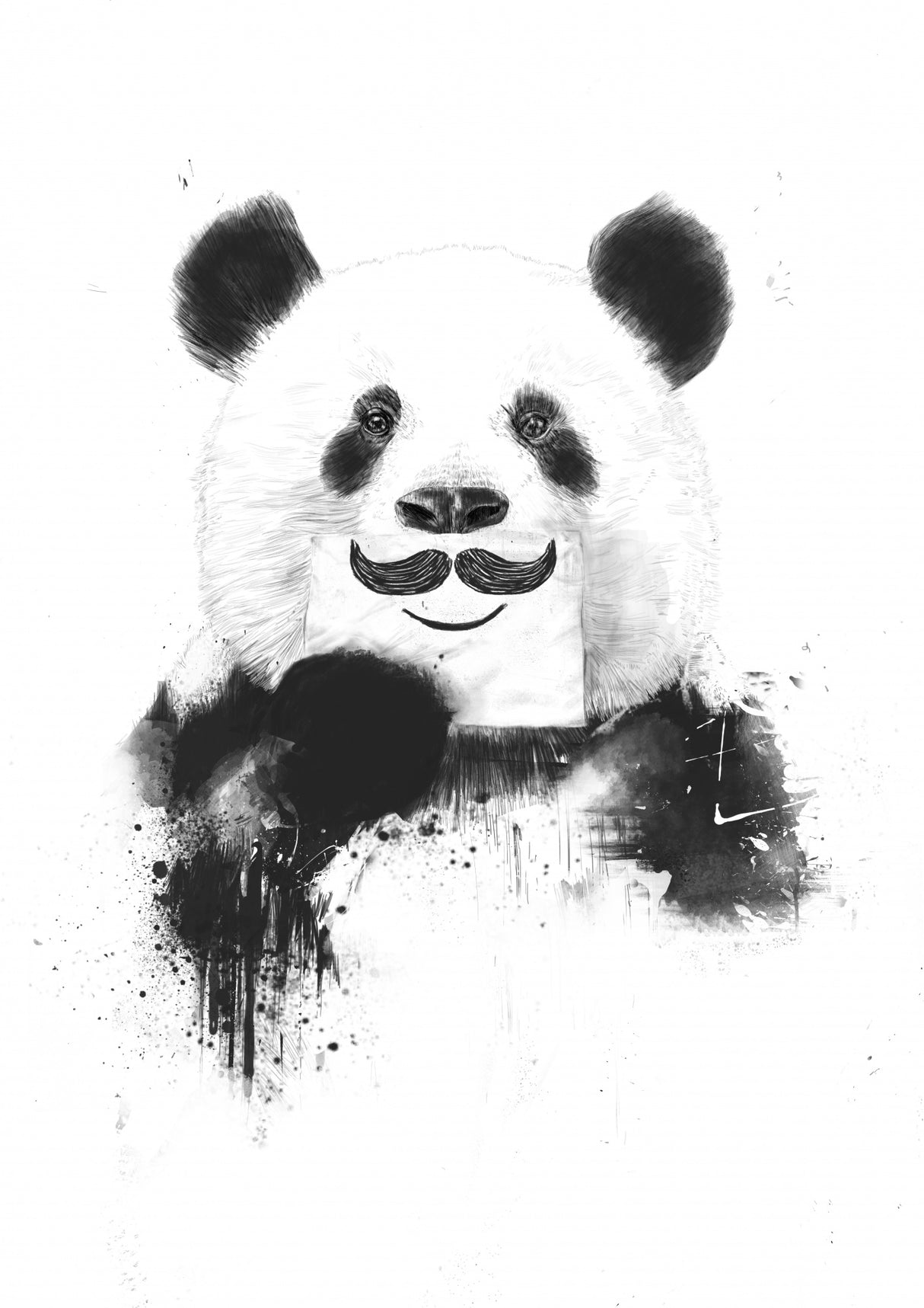 Funny panda Poster och Canvastavla