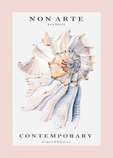 Non Arte Sea Shell no.1 Poster och Canvastavla