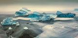 Gems from the sea Poster och Canvastavla