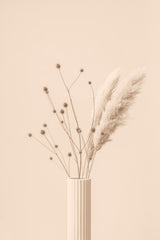 Thistle &amp; Pampas Beige Poster och Canvastavla