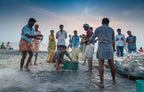 the fishers Poster och Canvastavla