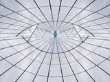 The Eye Poster och Canvastavla