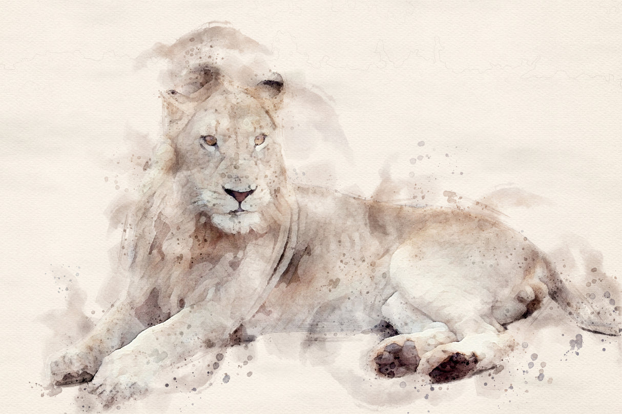 Abstract African Lion Watercolor Art Poster och Canvastavla