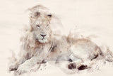 Abstract African Lion Watercolor Art Poster och Canvastavla