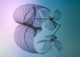 Story of leaf and flower Poster och Canvastavla
