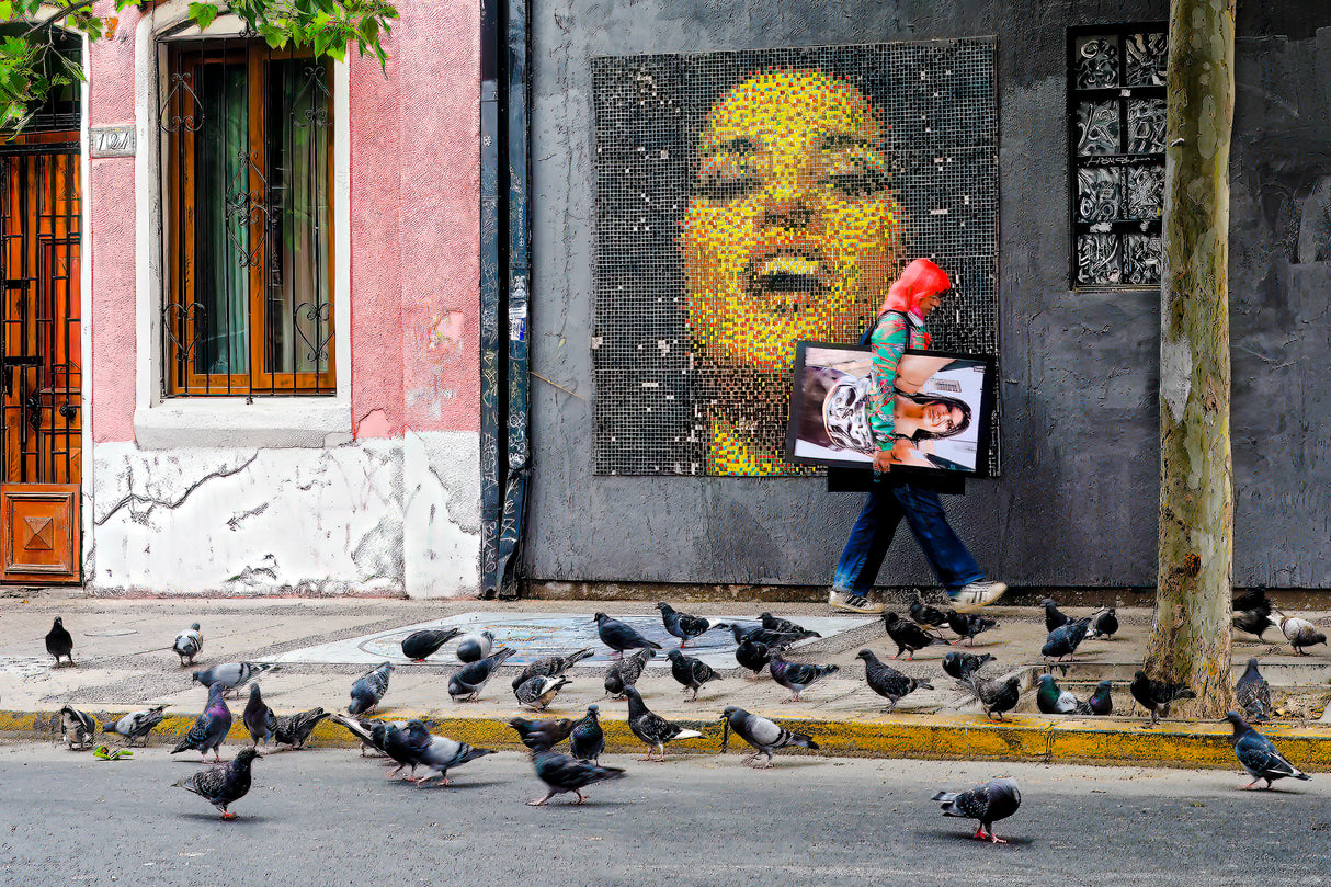Making fun of pigeons Poster och Canvastavla
