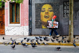 Making fun of pigeons Poster och Canvastavla