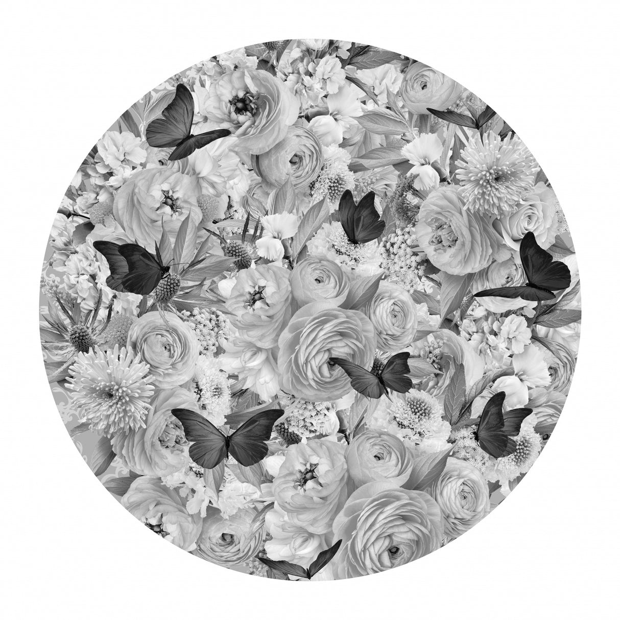 Candy Blooms Black &amp; White Poster och Canvastavla