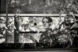 Beyond the Window Poster och Canvastavla