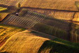 tractor Poster och Canvastavla