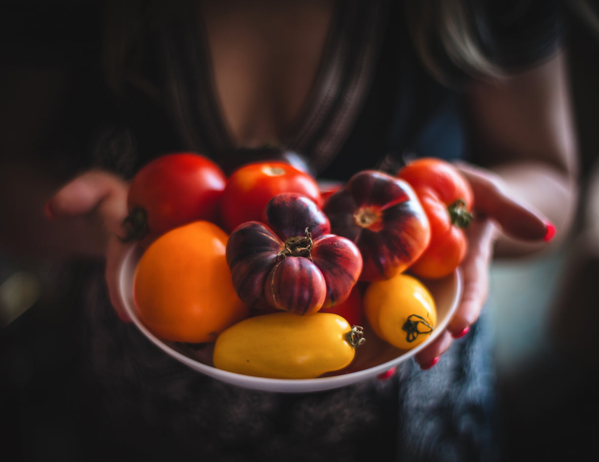 Tomatoes in the plate Poster och Canvastavla