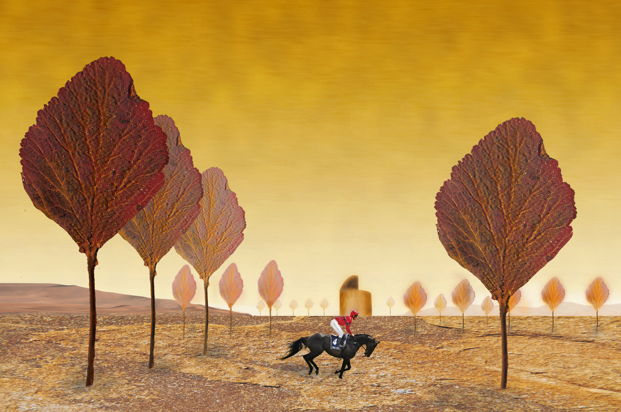 The Lost Jockey Poster och Canvastavla