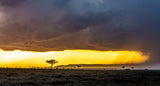 The departing storm at sunset Poster och Canvastavla